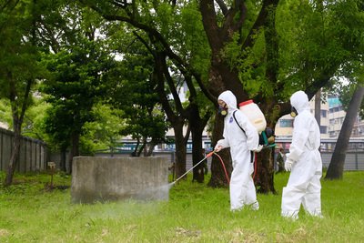 Число погибших от лихорадки денге достигло 25